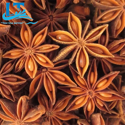 Star aniseed