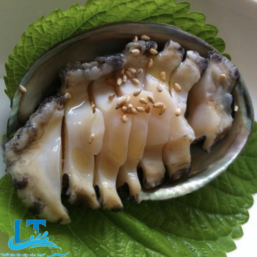  abalone
