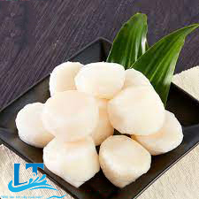 scallops